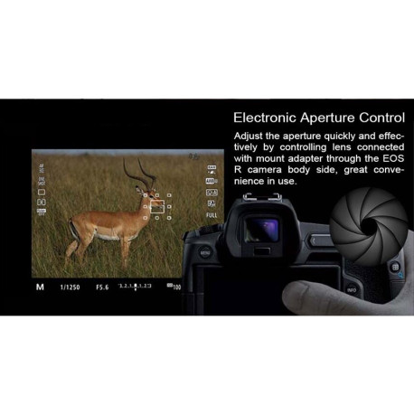 Commlite CM-EF-EOS R Auto Focus Lens Mount Adapter – Canon EF / EF-S Lens to Canon EOS R RF Mount