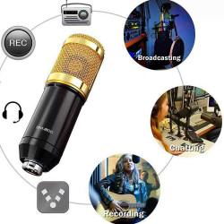 BM800 Large Circuit Condenser Microphone Full Kit Large Circuit Golden BM800 Large Circuit Condenser Microphone Full Kit Large Circuit Golden